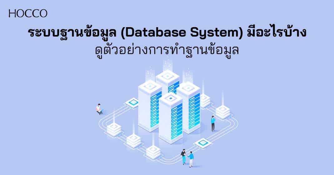 ระบบฐานข้อมูล (Database System) มีอะไรบ้าง ดูตัวอย่างการทำฐานข้อมูล